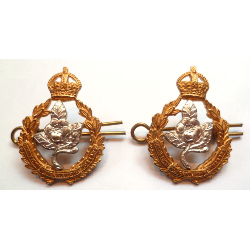 Pair Queen's Own Worcestershire Hussars Officers Collar Dog/Badges