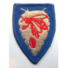 US North Carolina National Guard Cloth Patch Colour