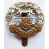 WW1 The Hampshire Regiment Cap Badge - British Army