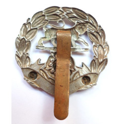 WW1 The Hampshire Regiment Cap Badge - British Army