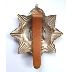 The Devonshire Regiment Cap Badge - British Army