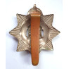 The Devonshire Regiment Cap Badge - British Army