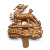 Royal Berkshire Regiment Cap Badge