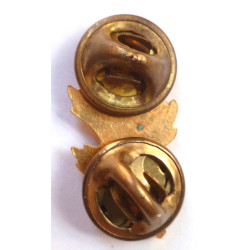 US Navy Officers Medical Services Branch Collar Device