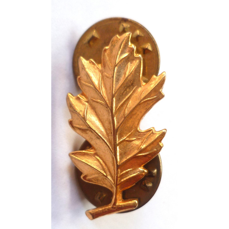 US Navy Officers Medical Services Branch Collar Device