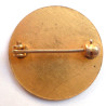 WW2 US Navy Officers Nurse Rating Branch Collar Device