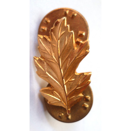 US Navy Officers Nurse Rating Branch Collar Device US Navy Officers Nurse Rating Branch Collar Device