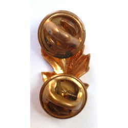 US Navy Officers Nurse Rating Branch Collar Device