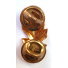 US Navy Officers Nurse Rating Branch Collar Device
