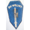 US Army Infantry School Cloth Colour Patch