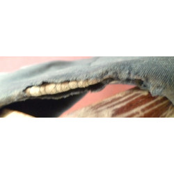 WW2 German Luftwaffe Uniform