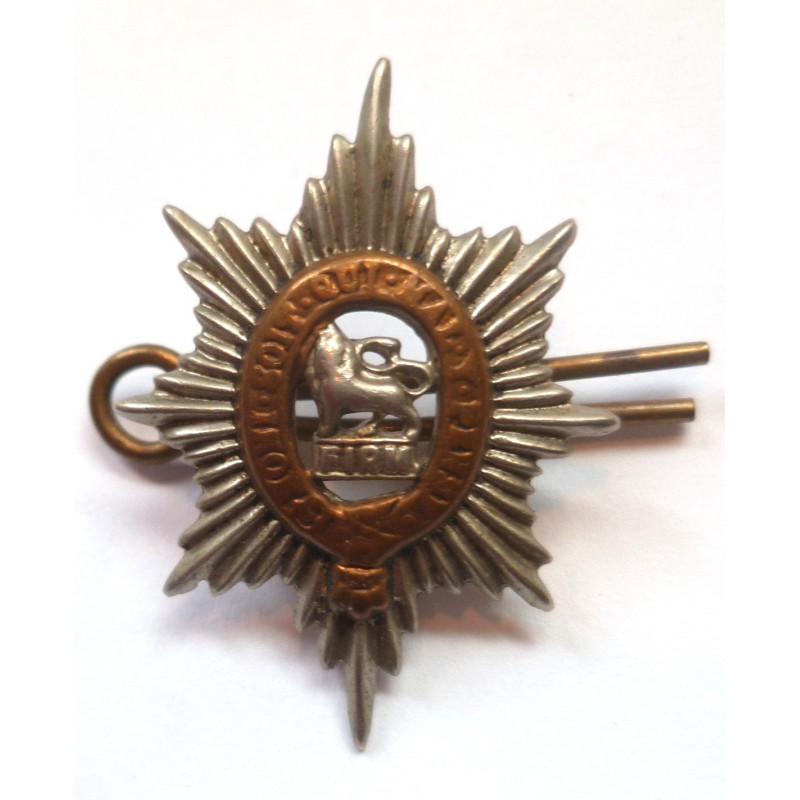Worcestershire Regiment Collar Badge - British Army Insignia