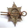 Worcestershire Regiment Collar Badge - British Army Insignia