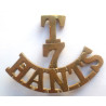 T/7/Hants The Hampshire Regiment Shoulder Title - British Army Military Insignia