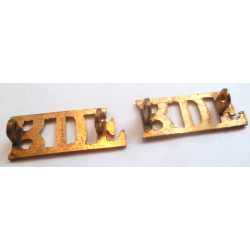 Pair Royal Dublin Fusiliers Brass Shoulder Titles - British Military Insignia