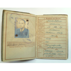 WW2 German Wehrpass- Third Reich Insignia