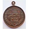 South African Medallion Commemorate Conclusion of The Great War Johannesburg 1914 1919