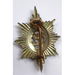 Worcestershire Regiment Sweetheart Badge - British Military Insignia