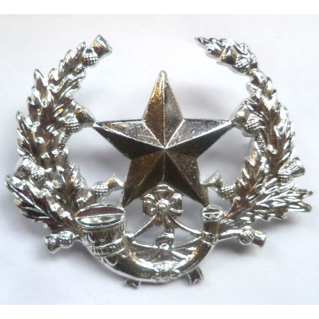 Cameronians (Scottish Rifles) Regiment Anodised Staybrite Glengarry/Cap Badge - British Military Insignia