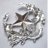 Cameronians (Scottish Rifles) Regiment Anodised Staybrite Glengarry/Cap Badge - British Military Insignia