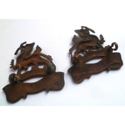 Pair of Royal Berkshire Officers Bronze Collar Badges - British Military Insignia