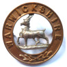 The Warwickshire Regiment Helmet Plate Centre- British Military Insignia