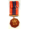 South African Defence Force Pro Patria Medal