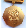South African Defence Force Pro Patria Medal
