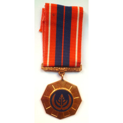 South African Defence Force Pro Patria Medal