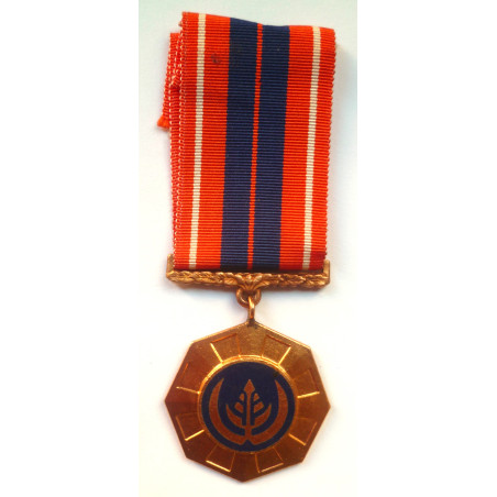 South African Defence Force Pro Patria Medal
