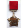 Soviet Russian Medal "Youth Mentor"- USSR