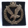 Army Air Corps Cap Badge - Queen's Crown - British Military Insignia