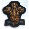 Royal Regiment of Wales Bullion Beret Badge - British Military Insignia