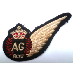 WW2 Royal Canadian Air Force Air Gunners Brevet - British Military Insignia