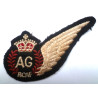 WW2 Royal Canadian Air Force Air Gunners Brevet - British Military Insignia