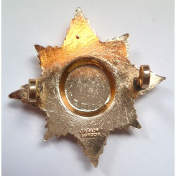 Irish Guards Staybrite Cap Badge - British Army Insignia