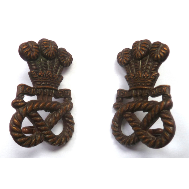 Pair North Staffordshire Regiment Officers Bronze Collars Dog/Badge - British Army Insignia