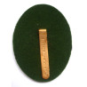 Royal Army Dental Corps Cap Badge - Queen's Crown - British Military Insignia