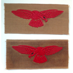 Pair WW2 Royal Air Force Tropical Eagle/Albatross -RAF - British Military Insignia