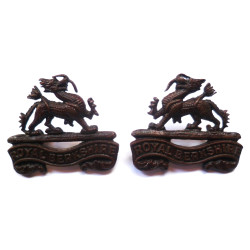 Pair of Royal Berkshire Regiment Officers Bronze Collar Dogs/Badges - British Military Insignia