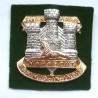 Devonshire & Dorset Regiment Staybrite Cap Badge Cap Badge - British Military Insignia