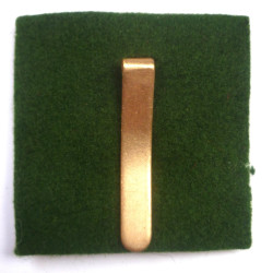 Devonshire & Dorset Regiment Cap Badge - British Military Insignia