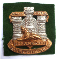 Devonshire & Dorset Regiment Cap Badge - British Military Insignia