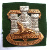 Devonshire & Dorset Regiment Cap Badge - British Military Insignia