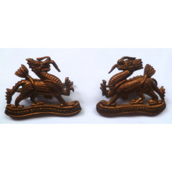 Pair Royal Berkshire Regiment (Princess Charlotte Of Wales) Collar Dogs/Badges - British Military Insignia