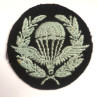 WW2 British Parachute Jump Instructor (PJI) Qualification Badge