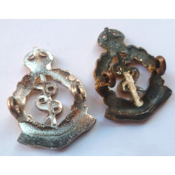 Pair Royal Army Medical Corps Officer's Collar Dog/Badges - British Military Insignia