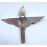 Parachute Regiment Staybrite Cap Badge - Queen's Crown - British Military Insignia