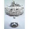 Gloucestershire Regiment Staybrite Cap Badge & Back Badge - Queen's Crown - British Military Insignia
