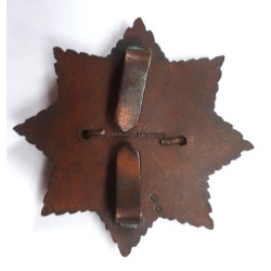 Lincolnshire Regiment Officers Bronze Cap Badge - British Military Insignia